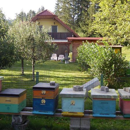 Sunny Holiday House B&B Ljubno Esterno foto