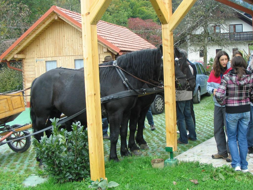 Sunny Holiday House B&B Ljubno Esterno foto