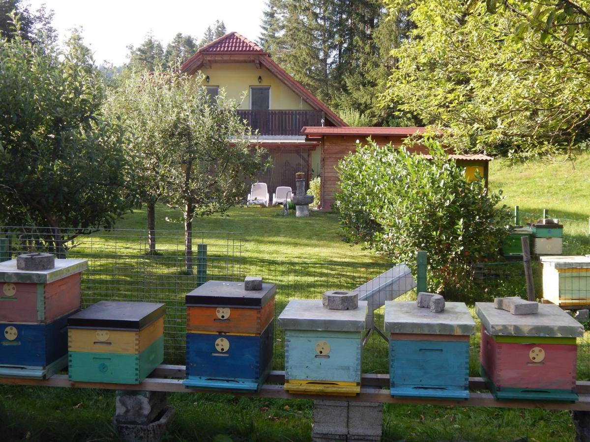 Sunny Holiday House B&B Ljubno Esterno foto