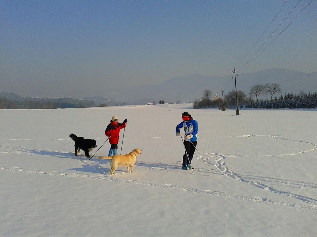 Sunny Holiday House B&B Ljubno Esterno foto