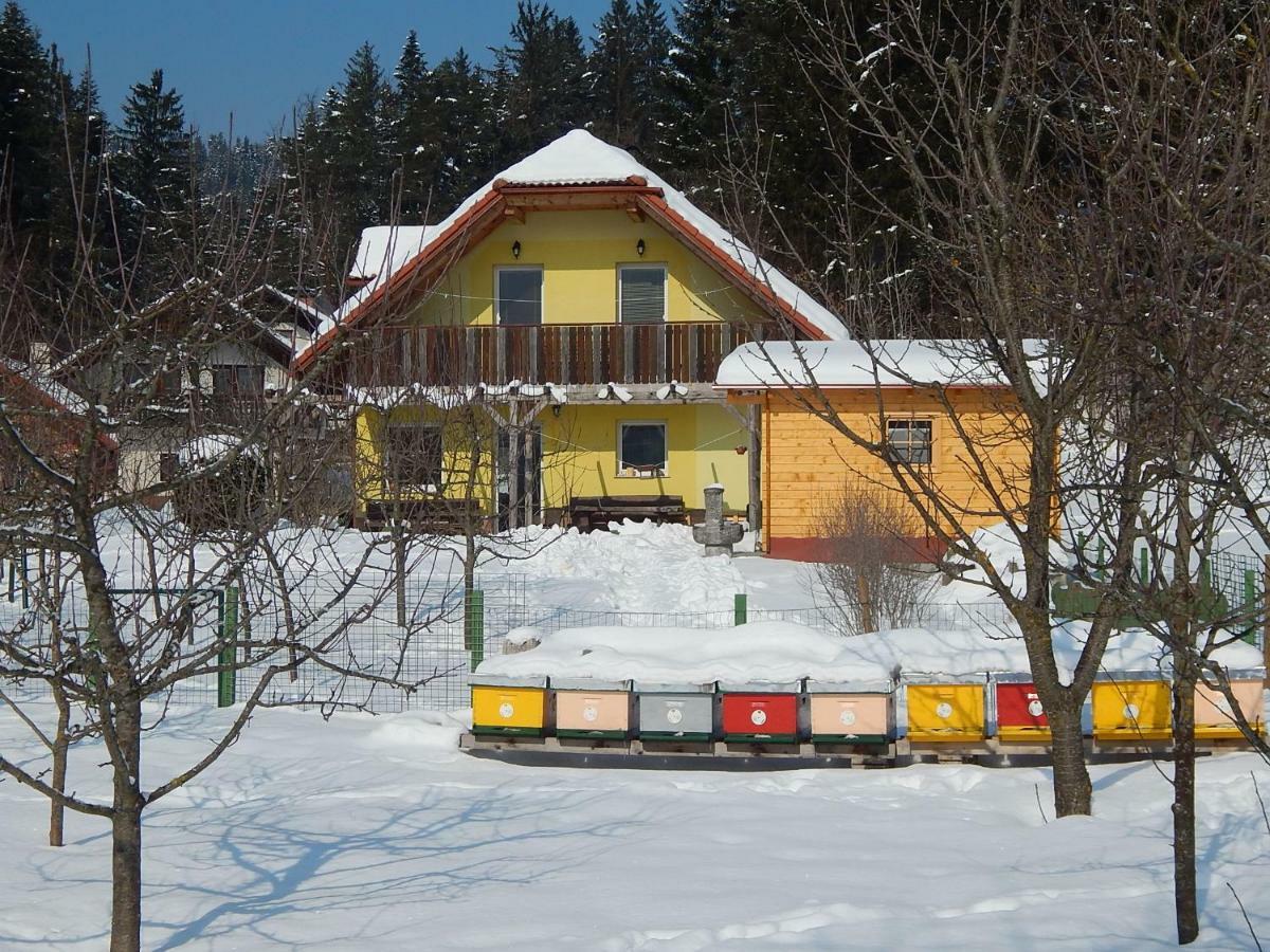 Sunny Holiday House B&B Ljubno Esterno foto